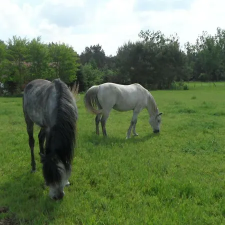Farm stay Farmstay *
