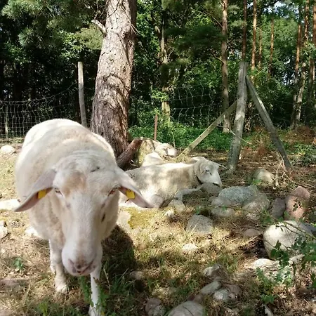 Farmstay