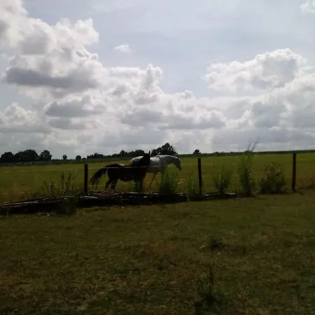 Farmstay Farm stay